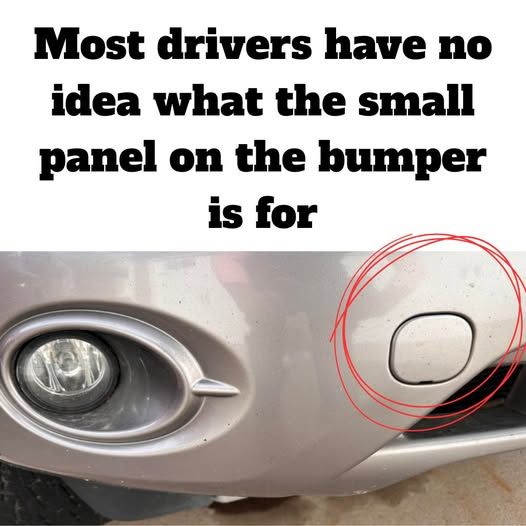 The Hidden Panel on Your Bumper Has a Life-Saving Purpose