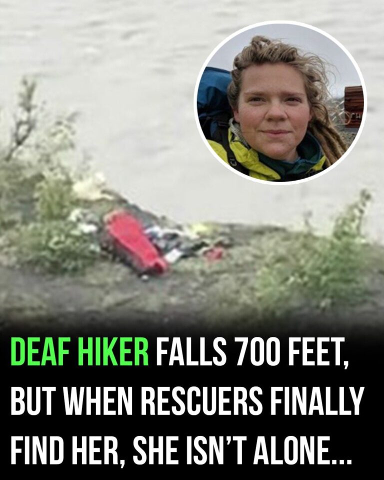 Deaf hiker fell 700 feet, but when rescuers finally found her, she was not alone