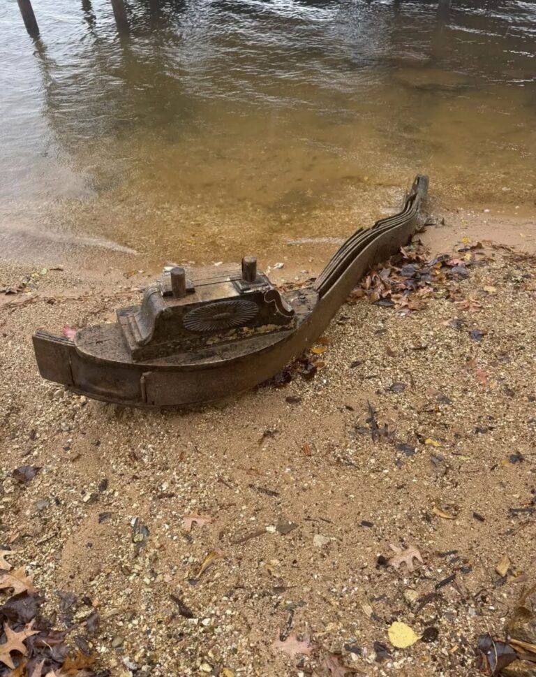 Nobody Thought This Would Resurface