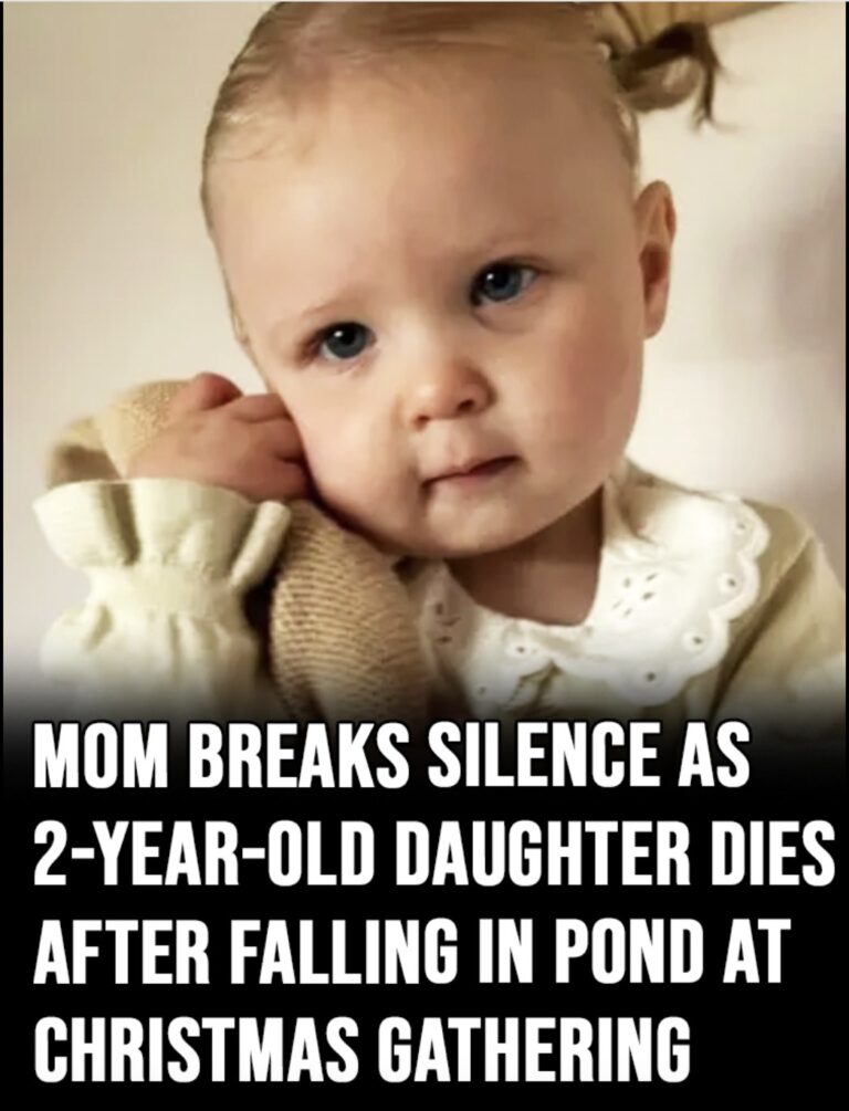 Girl, 2, dies after falling in pond during family Christmas gathering