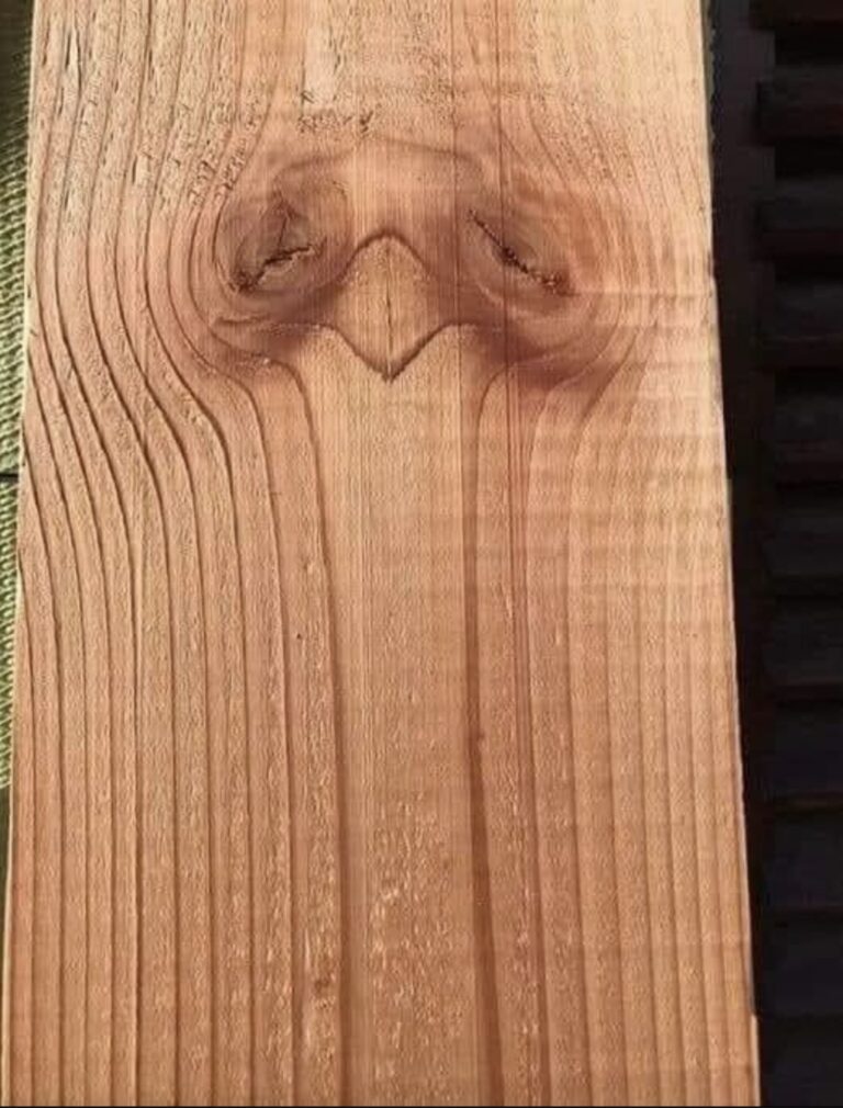 What Catches Your Eye First May Reflect Your Personality Traits