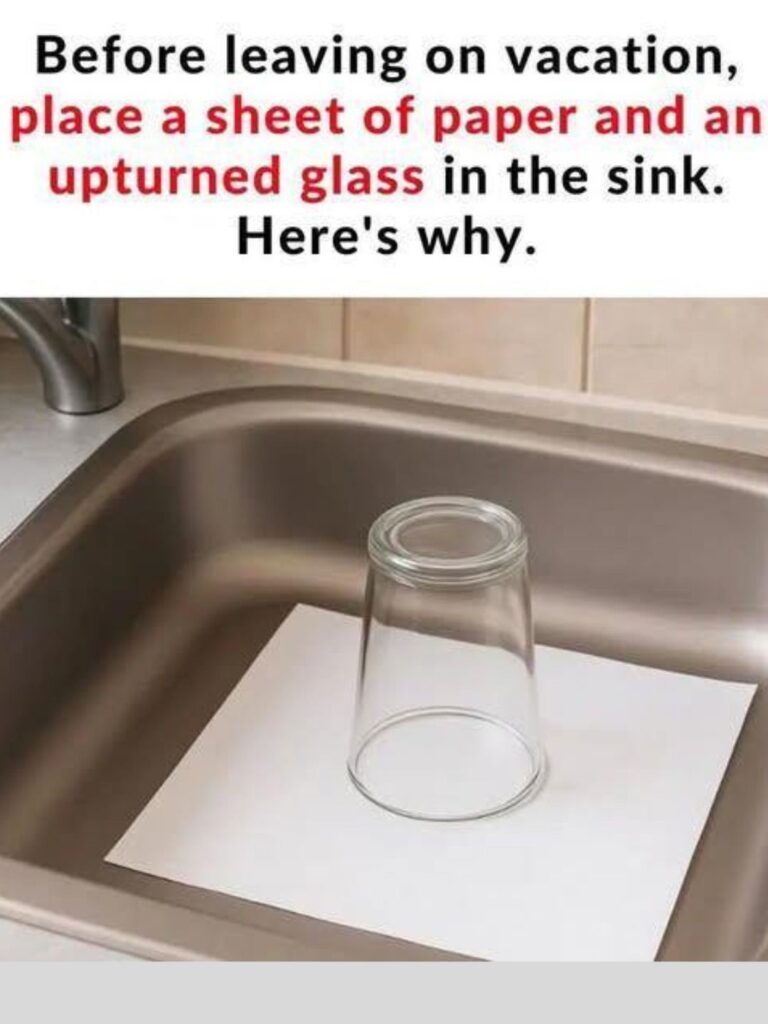 🧼 Here’s the Reason to Always Place an Upside-Down Glass and a Piece of Paper in the Sink Before You Leave for Vacation