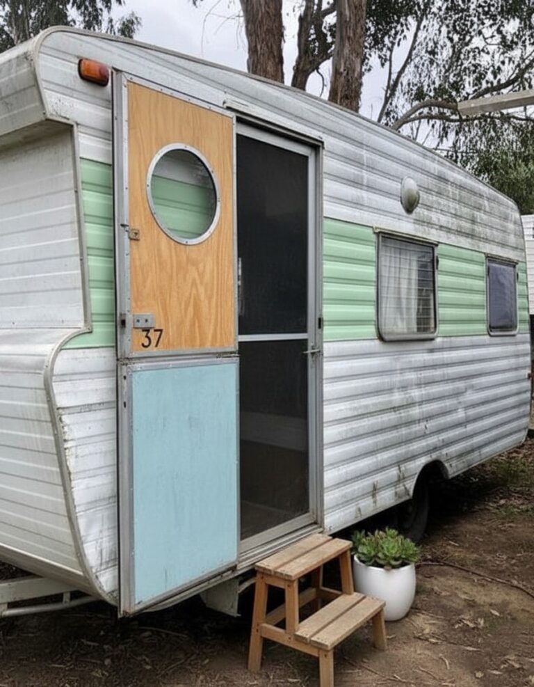 Kind People Gave a Homeless Woman an Old Trailer: She Transformed It Into a Cozy Home in the Heart of the Forest!