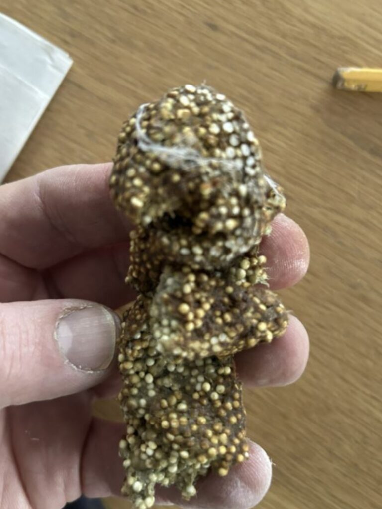 Most Nostalgic Moment of My Week: I Found Old Floam Under the Shelf 🧫🧩✨