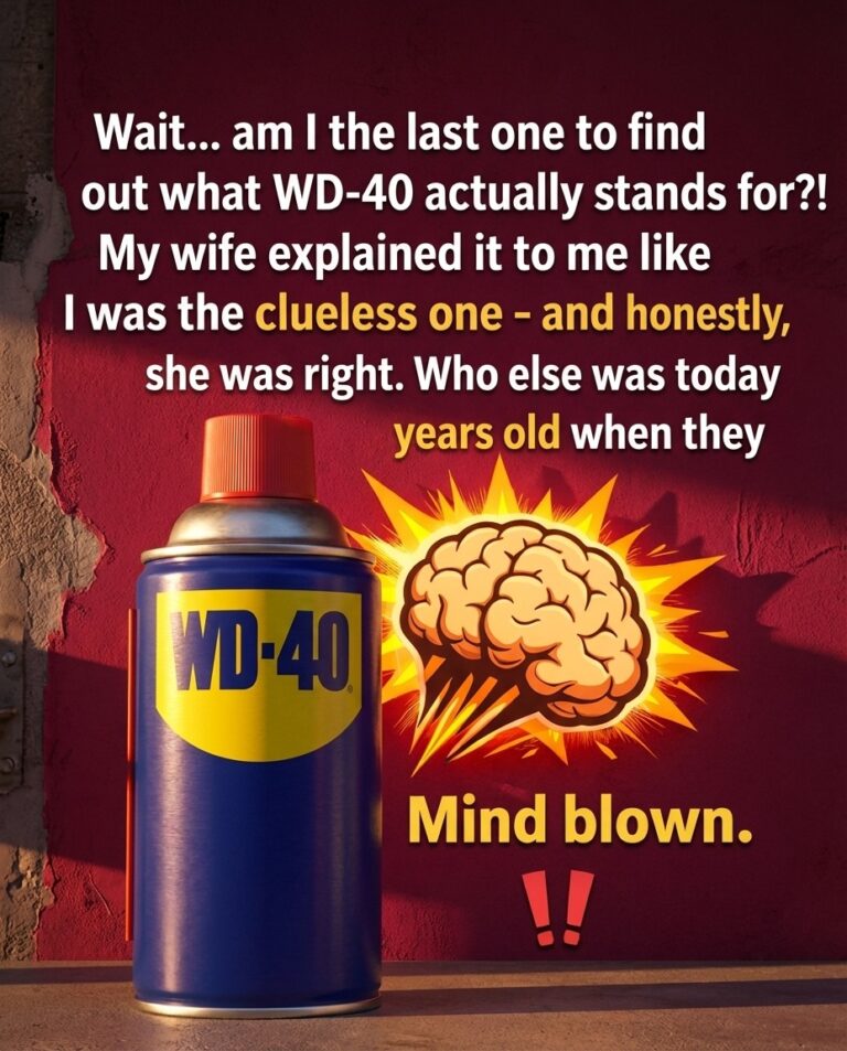 The Surprising Everyday Benefit of WD-40 Most People Overlook