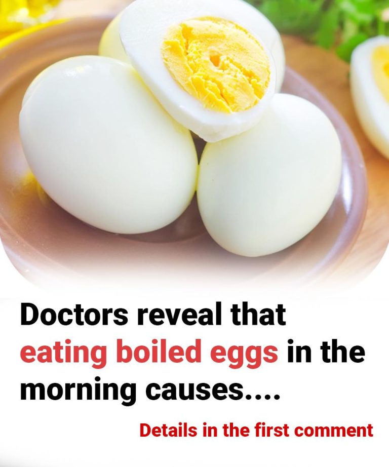 Doctors reveal that eating eggs in the morning causes …