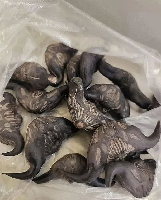 My neighbor gave me a bag of these, anyone know what they are? How do you eat them?