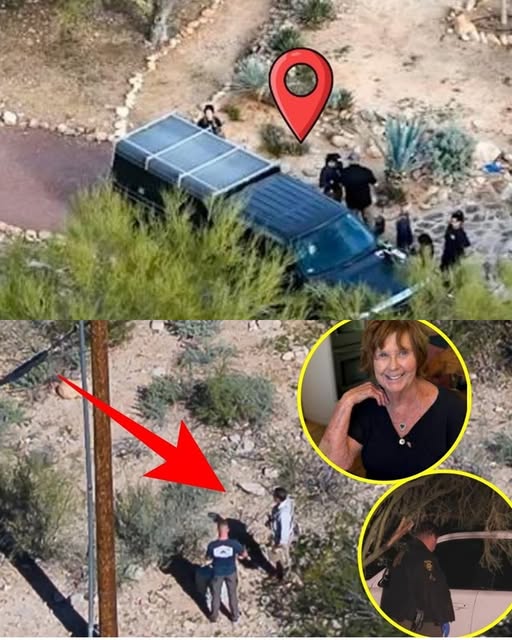 IRONCLAD EVIDENCE FROM A HOSPITAL BED: The Guthrie family’s elderly gardener suddenly regains consciousness after a mysterious “accident” — his first words are just one sentence: “The person who took Nancy was…”